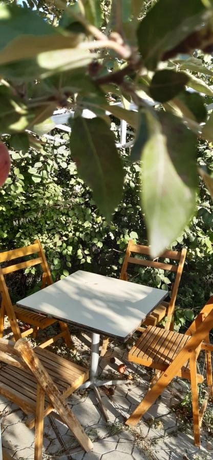 Guesthouse Kishimzhan Talas エクステリア 写真